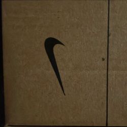 Nike Court Vision Lo NN 