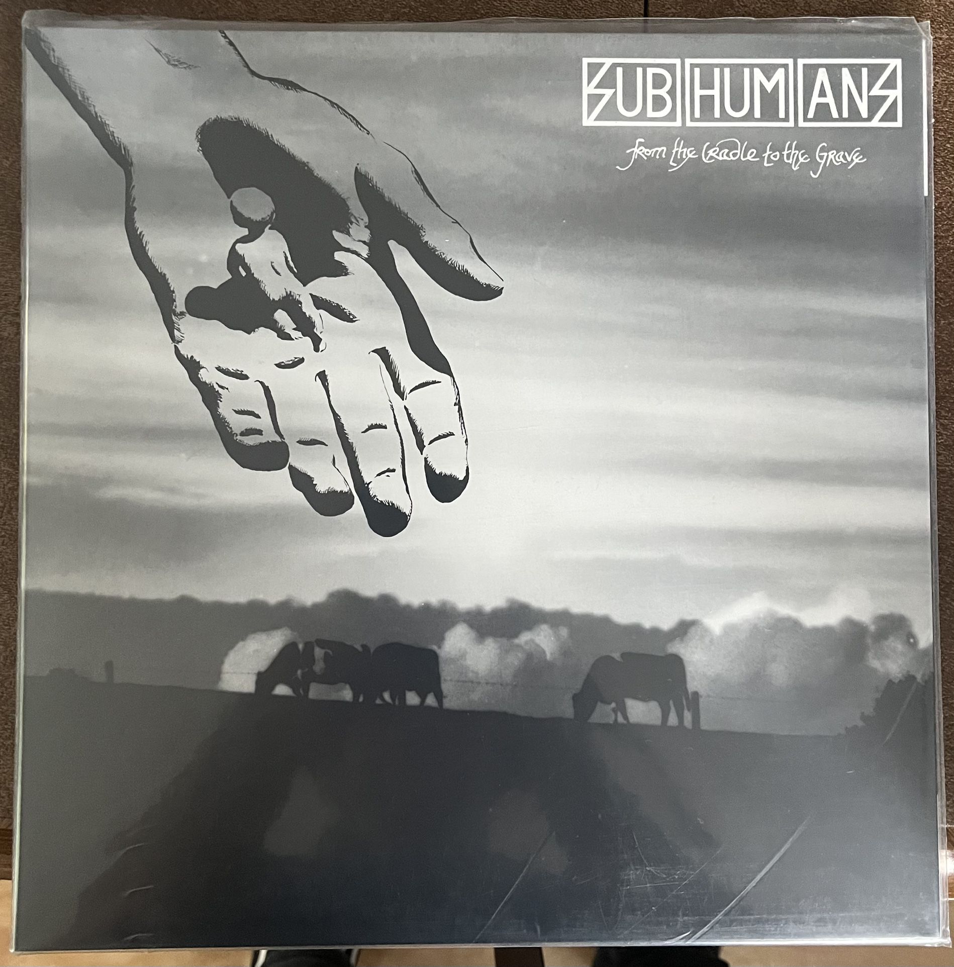Subhumans - From The Cradle To The Grave Vinyl LP