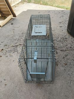 32 inch trap