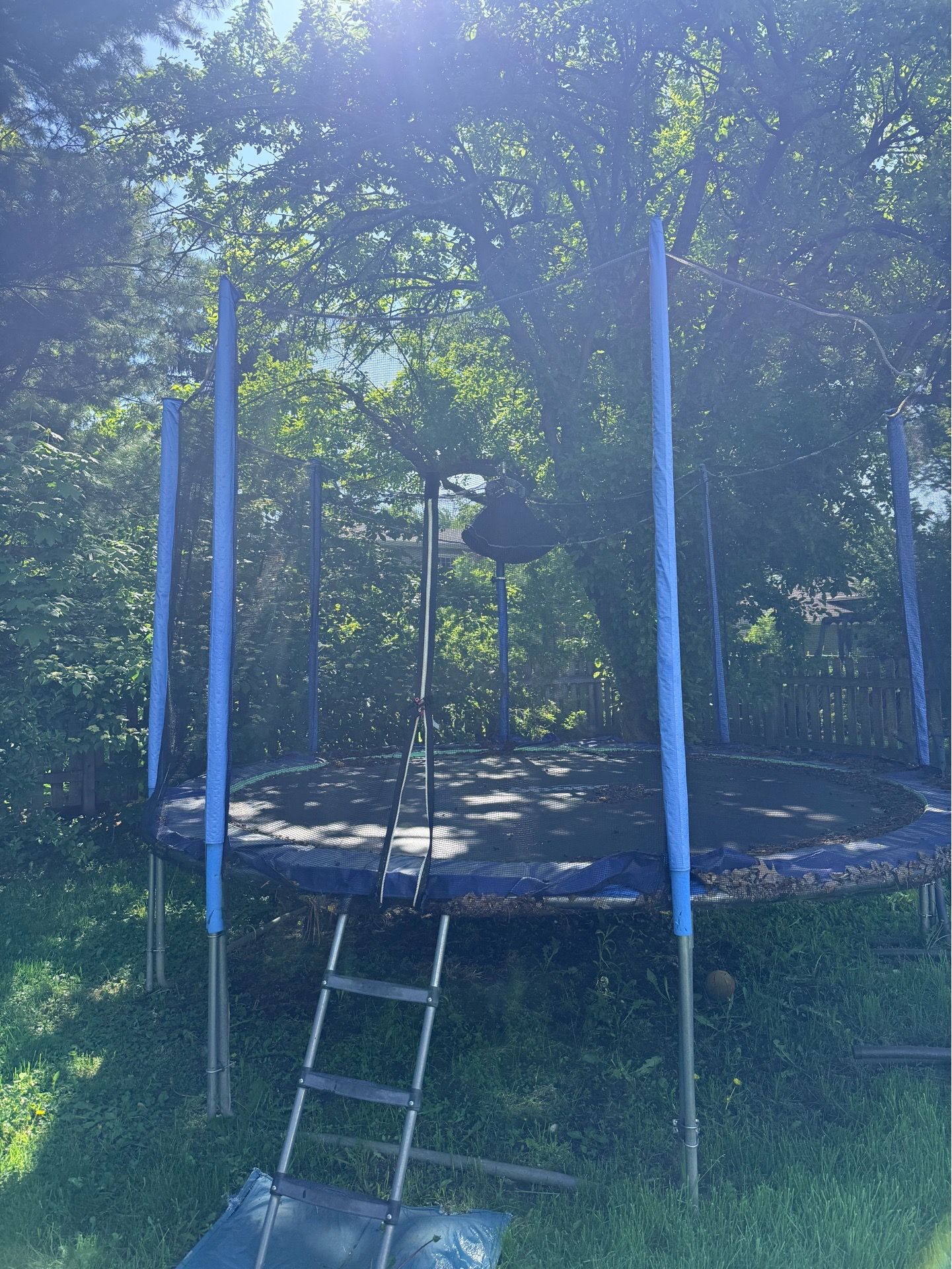 Zupapa Trampoline