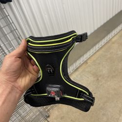 Neon Light Up Dog Hardest For Leash 