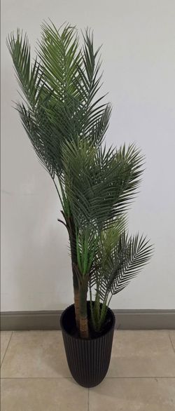 60" Faux Areca Palm in 14" (Tall) Black Ribbed Planter @ Lasting Creations