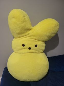 🐰