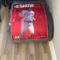 MLB The Show Cloth Poster