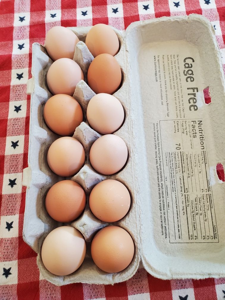 Fresh Organic Eggs
