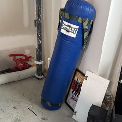 Prolast Punching Bag