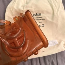 Brown Jelly Telfar Small