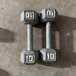 10lb Dumbbells (pair)