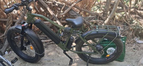Bee cool electric bike