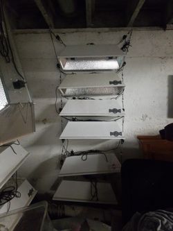 Indoor grow room lights