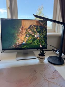 Dell U2415 24-Inch LED-Lit Monitor & LED desk lamp