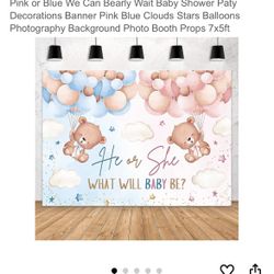 Bear Gender Reveal Backdrop