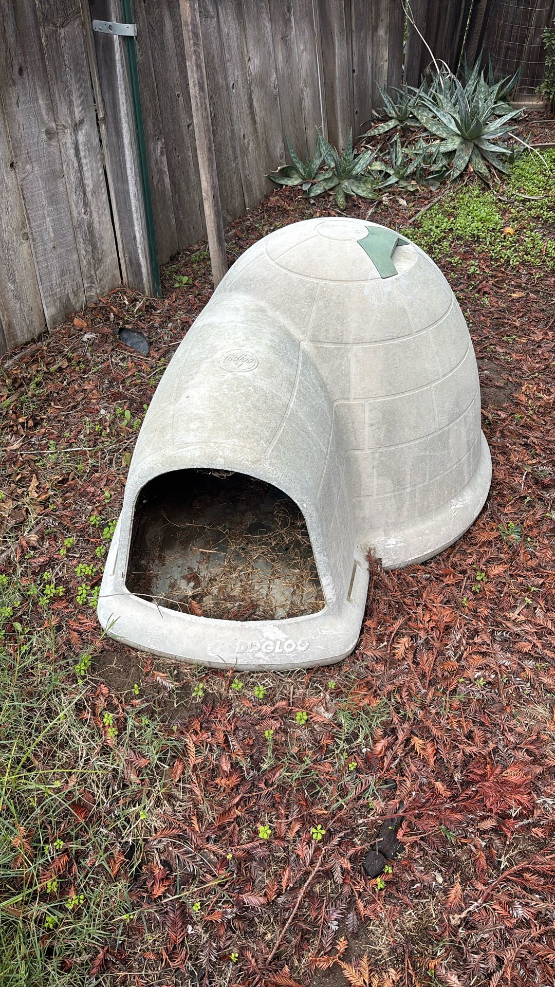 Dog House