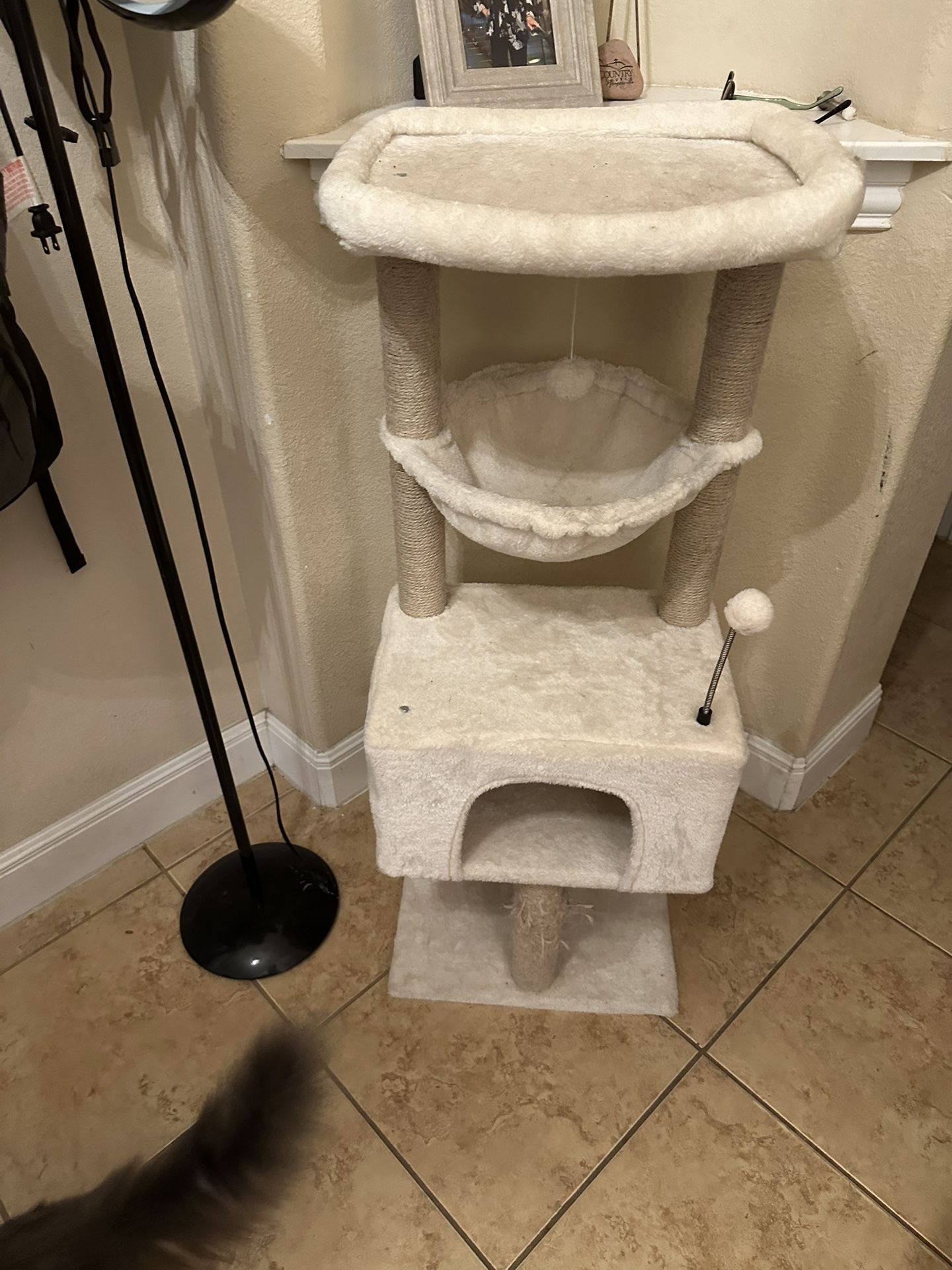 Cat Tree
