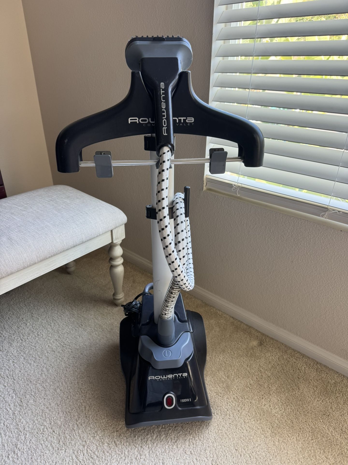 Rowenta Steamer