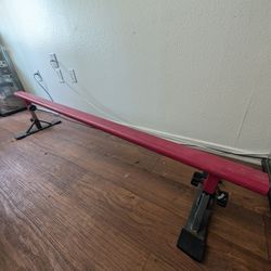 Adjustable Height Skate Rail 100$ OBO