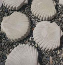 5......11inch concrete shell stepping stones 