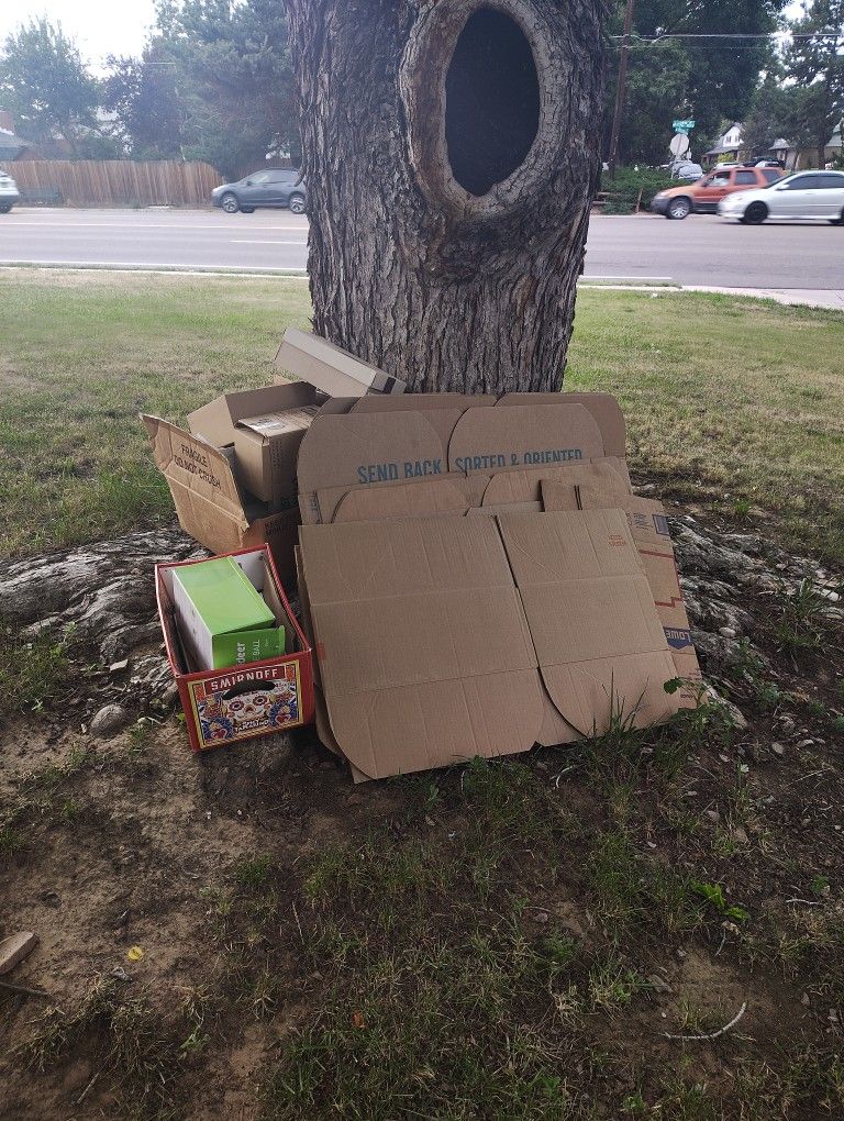 Free Moving Boxes 