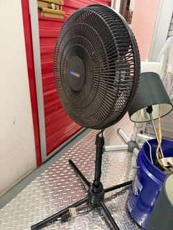 Fans