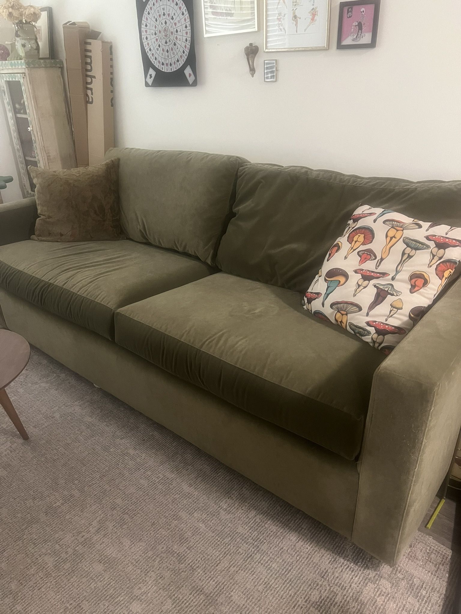 Pull Out Couch