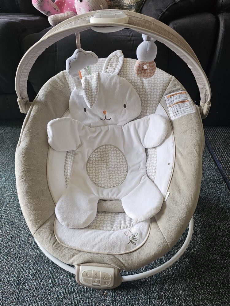 Baby Rocker