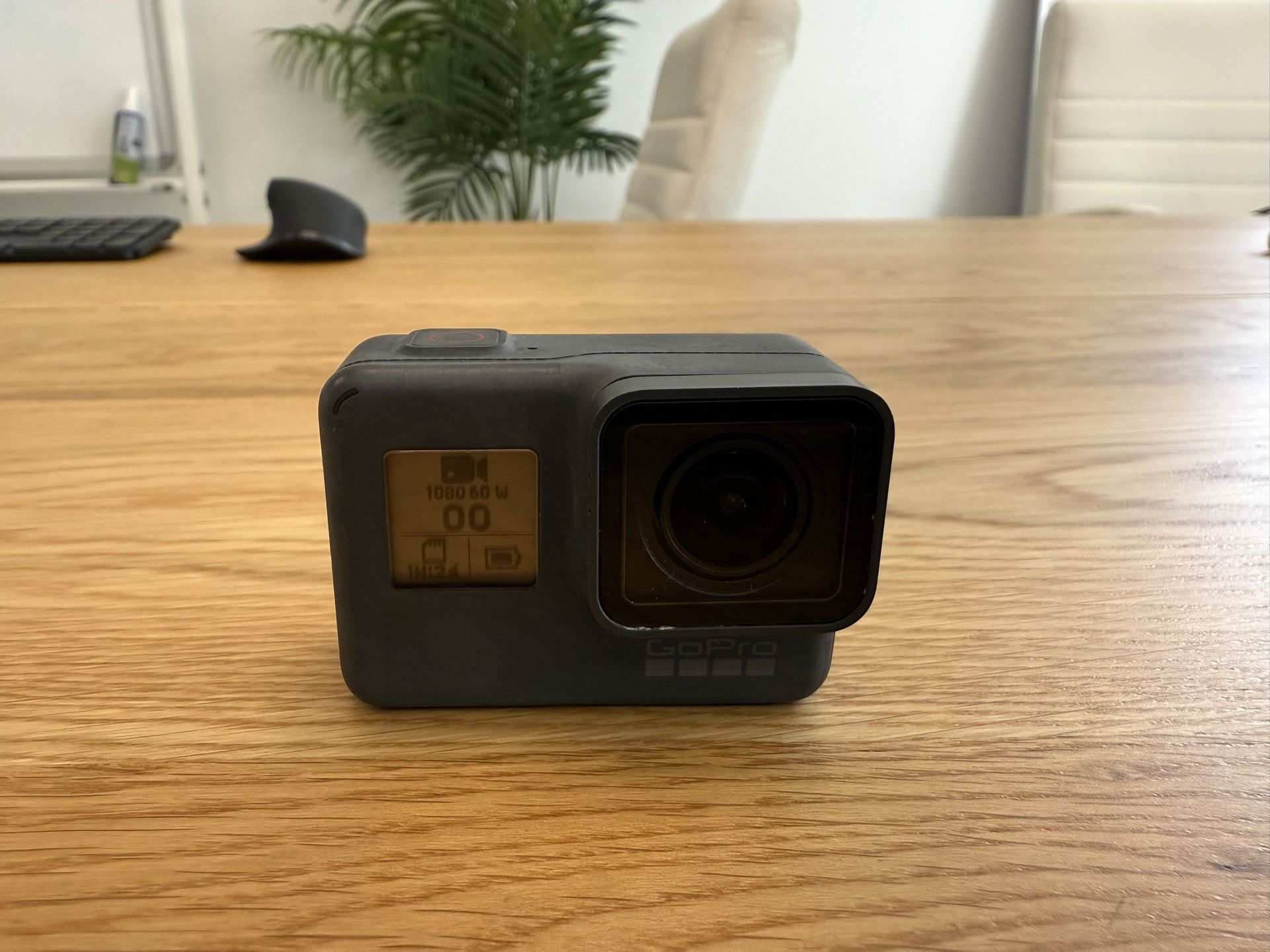 GoPro Hero 5 With Chesty And Heady