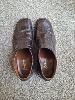 Alligator Shoes