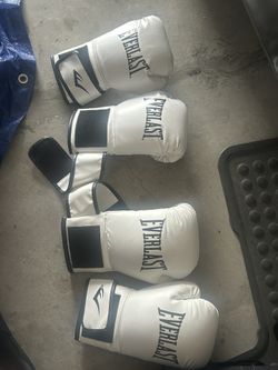 Everlast Boxing Gloves