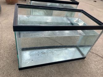 Fish Tank Aquarium #3
