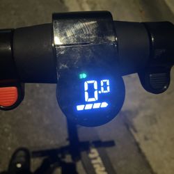 Electric Scooter
