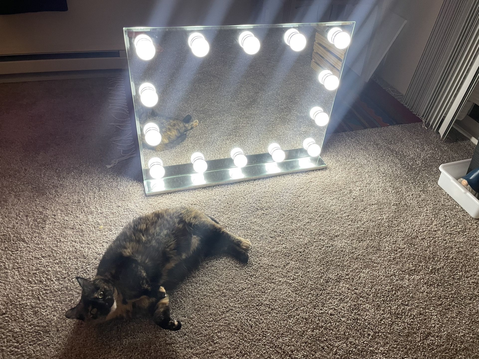 LED Vanity Mirror - 3 Tone Color