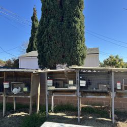 KW Cages and Rabbit Hutch