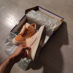 Nike SB Dunk Low Pro