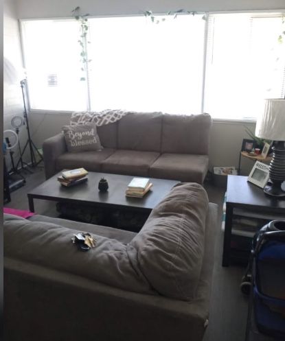 Grey L Shaped sectional (seats 4-5)