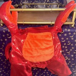 Pet /Dog Halloween Costume 🎃Lobster🦞
