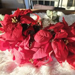 bunch of plastic Christmad poinsettias. Bonche de pascuas navideñas plásticas. 