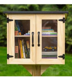 Ilyapa Outdoor Library Book Box - Free Literature Exchange Kit for Outside - Little Wood Cabinet for Sharing Books and Arts - 20x14x19 Inch