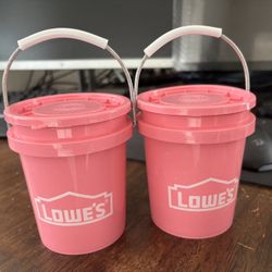 Lowe’s Pink Mini Buckets 