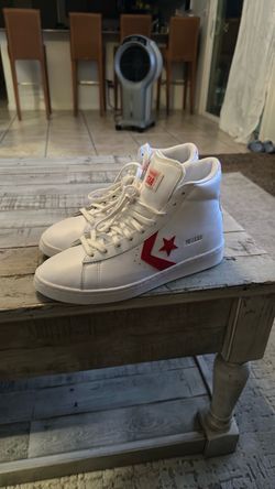Size 8 1/2 Converse shoe