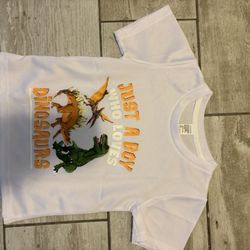2 Toddler Boy Shirts
