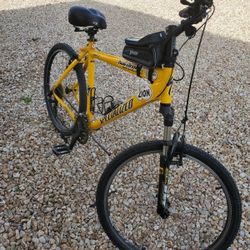 Large Specialized Bicycle