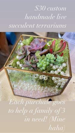 Custom Handmade Live Plant Terrarium