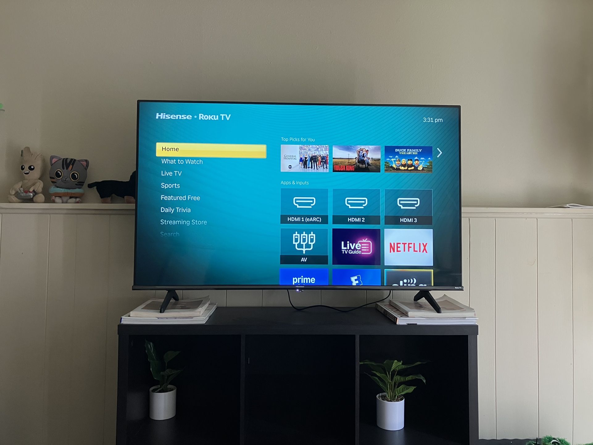 Hisense Roku (Smart Tv)