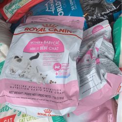 Cat Food 