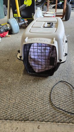 Dog/cat carrier medium
