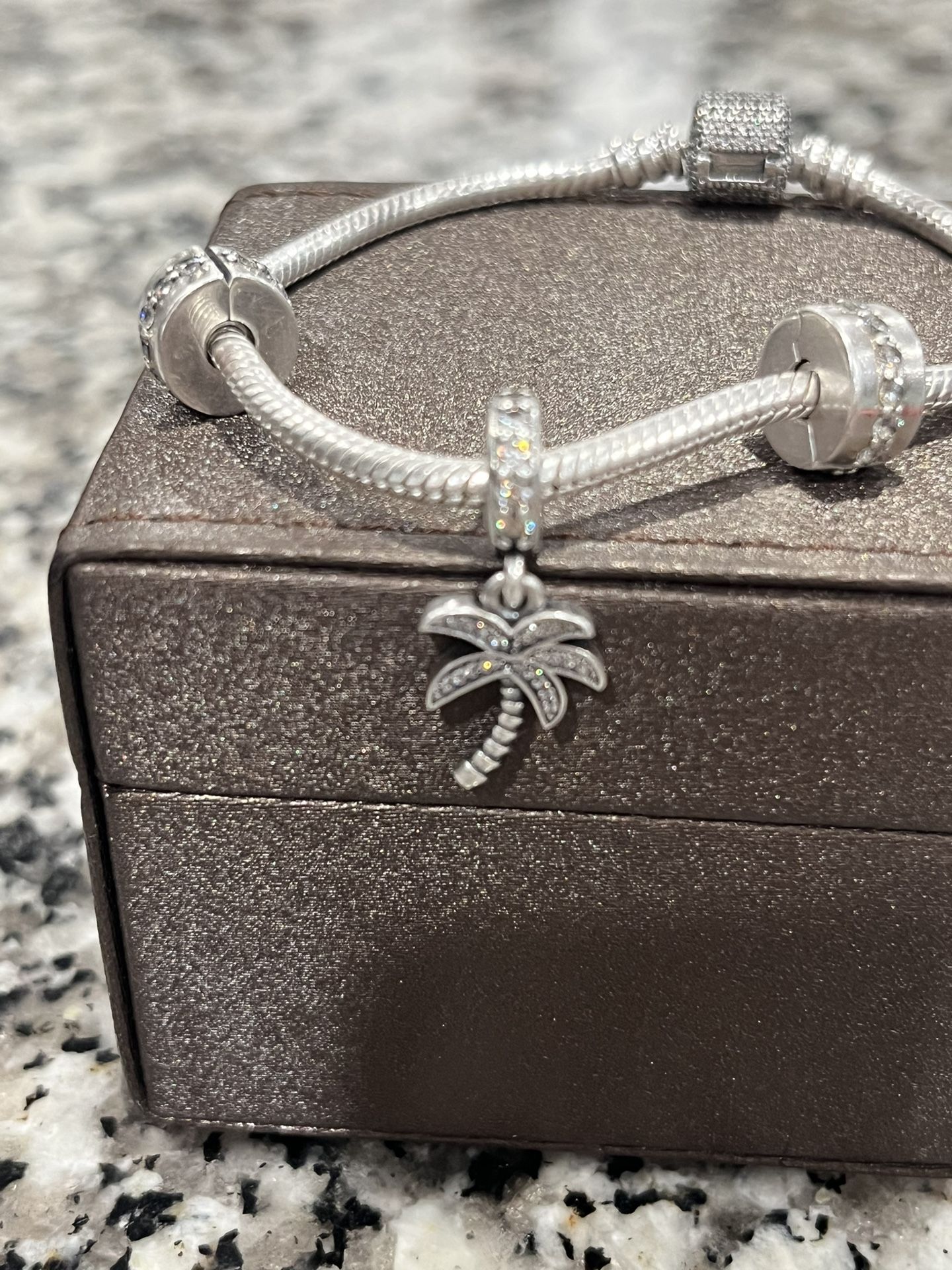 Pandora Bracelet