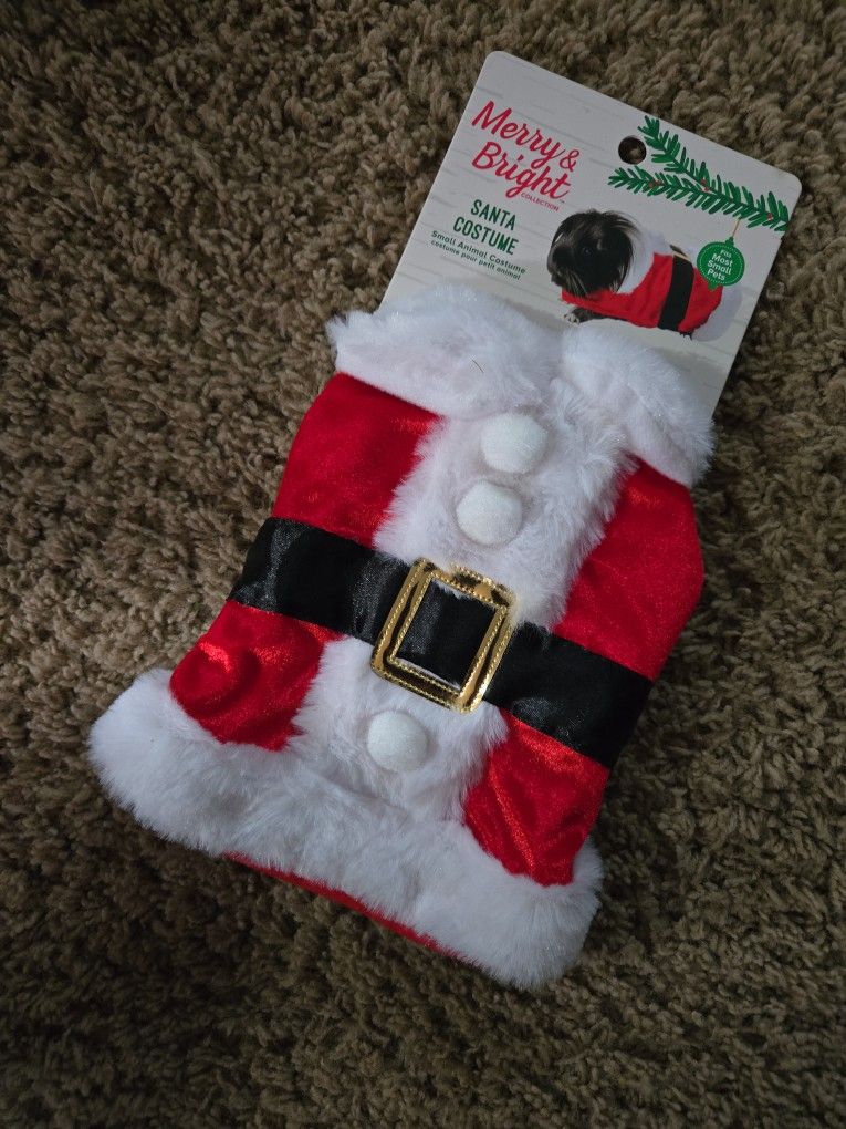 Santa Costume For Small Pets