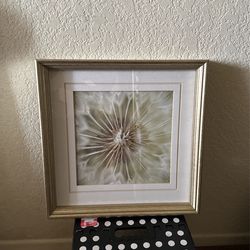 Dandelion Flower Wall Frame