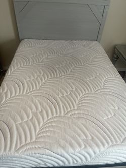 Full Sized Bed Plus Mattress