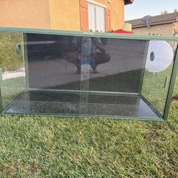 Reptile Glass Tank